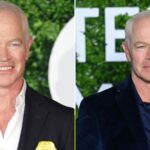 Neal McDonough Net Worth