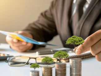 Online Business Idea